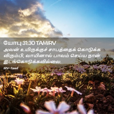Picture 02 - யோபு 31:30 TAMIRV - அவன் உயிருக்குச் - Bible Verse Picture