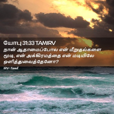 Picture 02 - யோபு 31:33 TAMIRV - நான் ஆதாமைப்போல - Bible Verse Picture