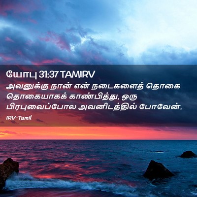 Picture 02 - யோபு 31:37 TAMIRV - அவனுக்கு நான் என் - Bible Verse Picture