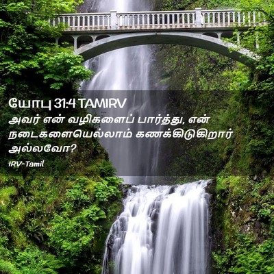 Picture 02 - யோபு 31:4 TAMIRV - அவர் என் வழிகளைப் - Bible Verse Picture