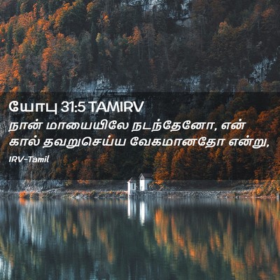 Picture 02 - யோபு 31:5 TAMIRV - நான் மாயையிலே - Bible Verse Picture