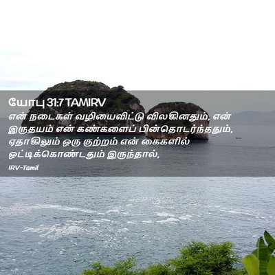 Picture 02 - யோபு 31:7 TAMIRV - என் நடைகள் - Bible Verse Picture