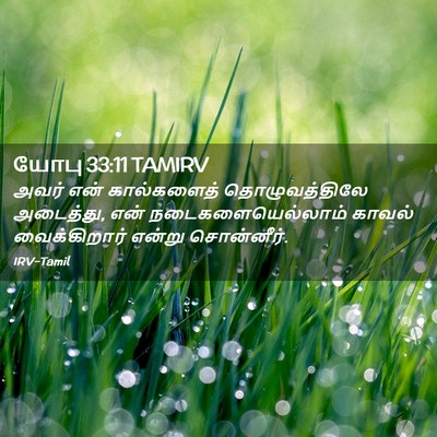 Picture 02 - யோபு 33:11 TAMIRV - அவர் என் - Bible Verse Picture