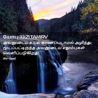 Picture 02 - யோபு 33:21 TAMIRV - அவனுடைய உடல் - Bible Verse Picture