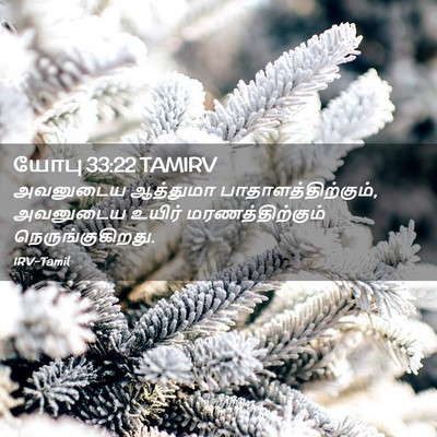 Picture 02 - யோபு 33:22 TAMIRV - அவனுடைய ஆத்துமா - Bible Verse Picture