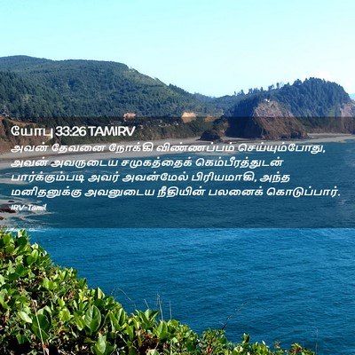 Picture 02 - யோபு 33:26 TAMIRV - அவன் தேவனை நோக்கி - Bible Verse Picture