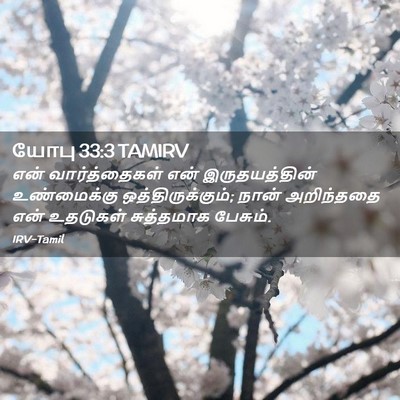 Picture 02 - யோபு 33:3 TAMIRV - என் வார்த்தைகள் - Bible Verse Picture
