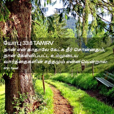Picture 02 - யோபு 33:8 TAMIRV - நான் என் காதாலே - Bible Verse Picture