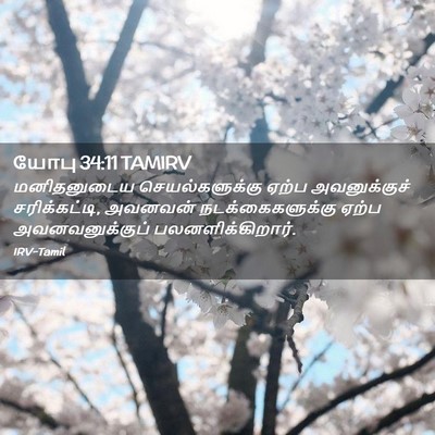 Picture 02 - யோபு 34:11 TAMIRV - மனிதனுடைய - Bible Verse Picture