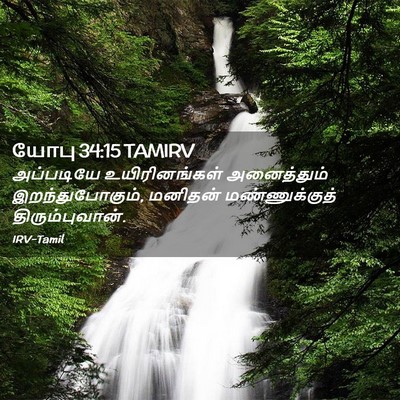 Picture 02 - யோபு 34:15 TAMIRV - அப்படியே - Bible Verse Picture