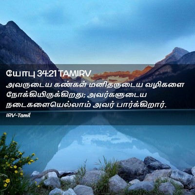 Picture 02 - யோபு 34:21 TAMIRV - அவருடைய கண்கள் - Bible Verse Picture