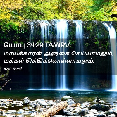 Picture 02 - யோபு 34:29 TAMIRV - மாயக்காரன் ஆளுகை - Bible Verse Picture