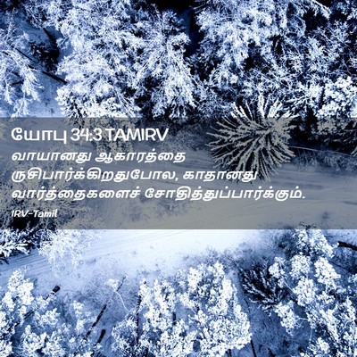 Picture 02 - யோபு 34:3 TAMIRV - வாயானது ஆகாரத்தை - Bible Verse Picture
