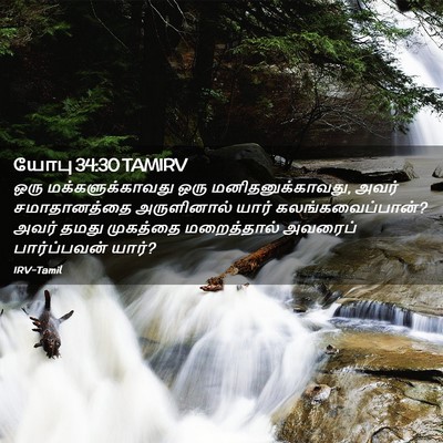 Picture 02 - யோபு 34:30 TAMIRV - ஒரு மக்களுக்காவது - Bible Verse Picture