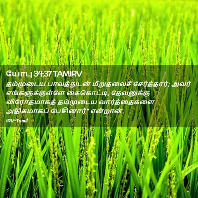 Picture 02 - யோபு 34:37 TAMIRV - தம்முடைய - Bible Verse Picture