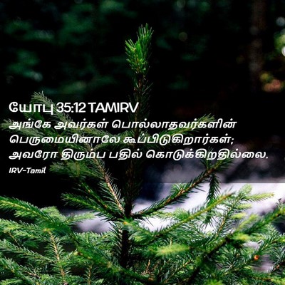 Picture 02 - யோபு 35:12 TAMIRV - அங்கே அவர்கள் - Bible Verse Picture