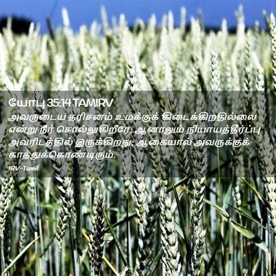 Picture 02 - யோபு 35:14 TAMIRV - அவருடைய தரிசனம் - Bible Verse Picture