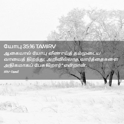 Picture 02 - யோபு 35:16 TAMIRV - ஆகையால் யோபு - Bible Verse Picture