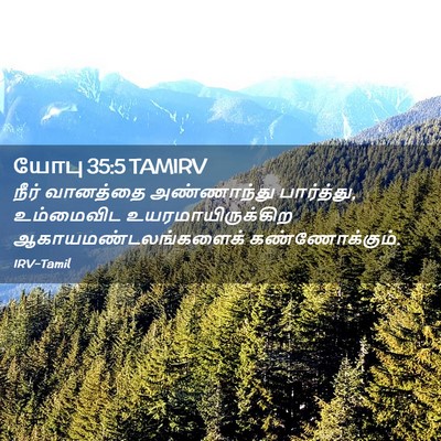 Picture 02 - யோபு 35:5 TAMIRV - நீர் வானத்தை - Bible Verse Picture