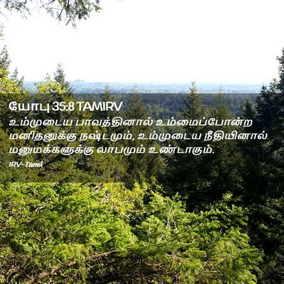 Picture 02 - யோபு 35:8 TAMIRV - உம்முடைய - Bible Verse Picture