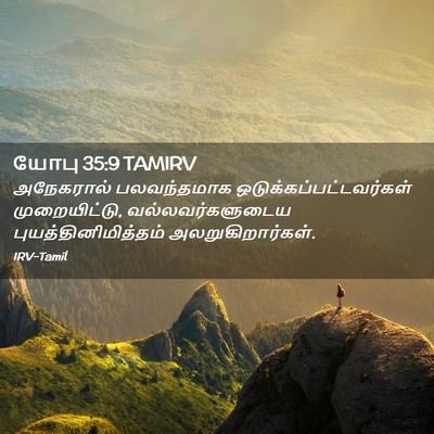 Picture 02 - யோபு 35:9 TAMIRV - அநேகரால் - Bible Verse Picture