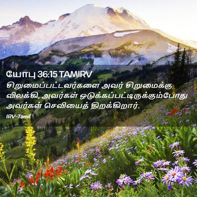 Picture 02 - யோபு 36:15 TAMIRV -  - Bible Verse Picture