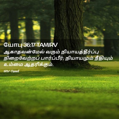 Picture 02 - யோபு 36:17 TAMIRV - ஆகாதவன்மேல் வரும் - Bible Verse Picture