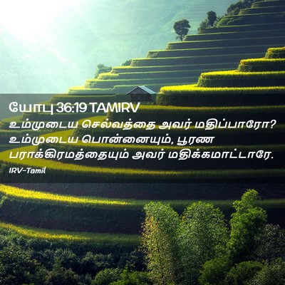 Picture 02 - யோபு 36:19 TAMIRV - உம்முடைய - Bible Verse Picture