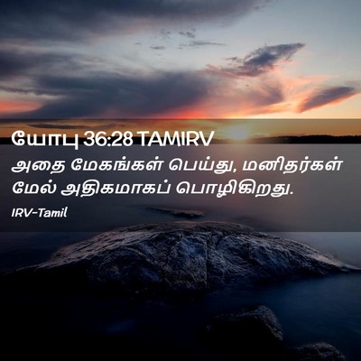 Picture 02 - யோபு 36:28 TAMIRV - அதை மேகங்கள் - Bible Verse Picture