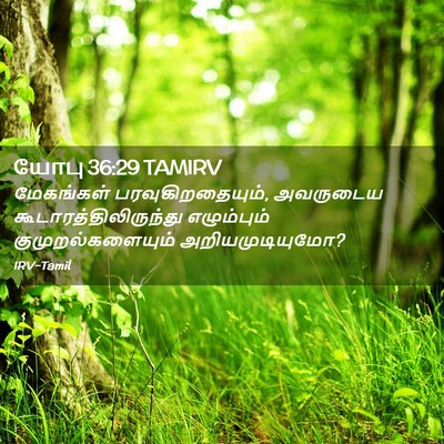 Picture 02 - யோபு 36:29 TAMIRV - மேகங்கள் - Bible Verse Picture
