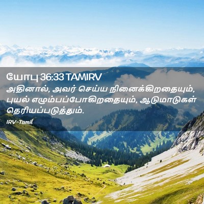 Picture 02 - யோபு 36:33 TAMIRV - அதினால், அவர் - Bible Verse Picture