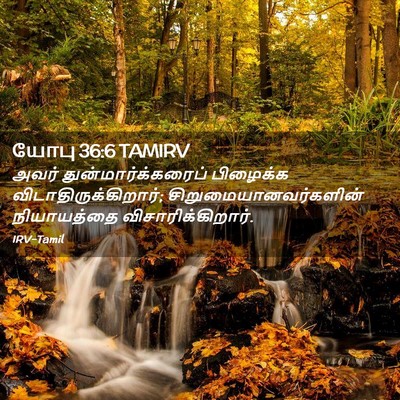 Picture 02 - யோபு 36:6 TAMIRV - அவர் - Bible Verse Picture