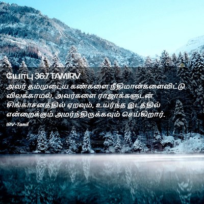 Picture 02 - யோபு 36:7 TAMIRV - அவர் தம்முடைய - Bible Verse Picture