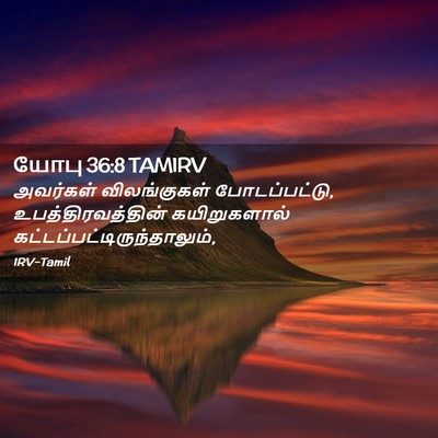 Picture 02 - யோபு 36:8 TAMIRV - அவர்கள் - Bible Verse Picture
