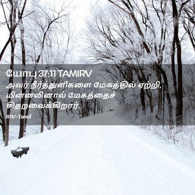 Picture 02 - யோபு 37:11 TAMIRV - அவர் - Bible Verse Picture