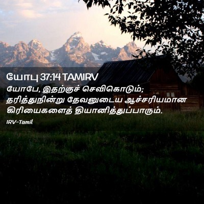 Picture 02 - யோபு 37:14 TAMIRV - யோபே, இதற்குச் - Bible Verse Picture