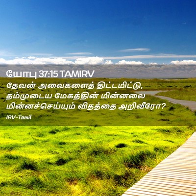 Picture 02 - யோபு 37:15 TAMIRV - தேவன் அவைகளைத் - Bible Verse Picture