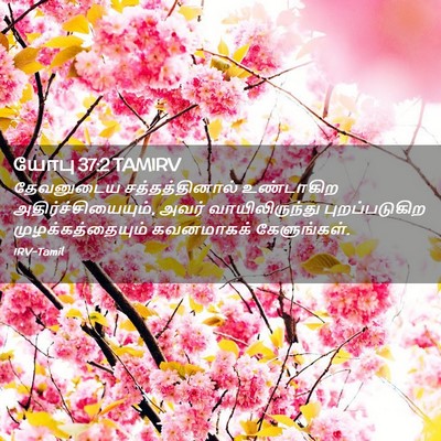 Picture 02 - யோபு 37:2 TAMIRV - தேவனுடைய - Bible Verse Picture