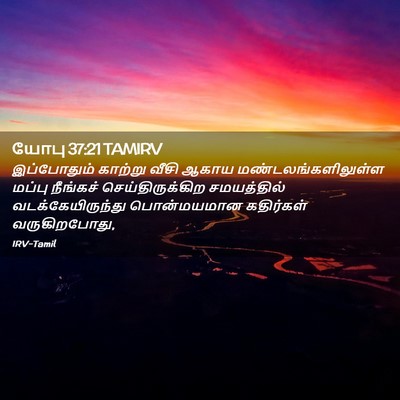 Picture 02 - யோபு 37:21 TAMIRV - இப்போதும் காற்று - Bible Verse Picture