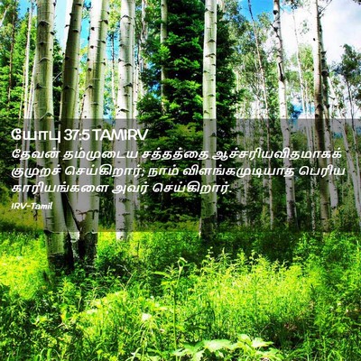 Picture 02 - யோபு 37:5 TAMIRV - தேவன் தம்முடைய - Bible Verse Picture