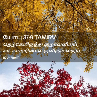 Picture 02 - யோபு 37:9 TAMIRV - தெற்கேயிருந்து - Bible Verse Picture