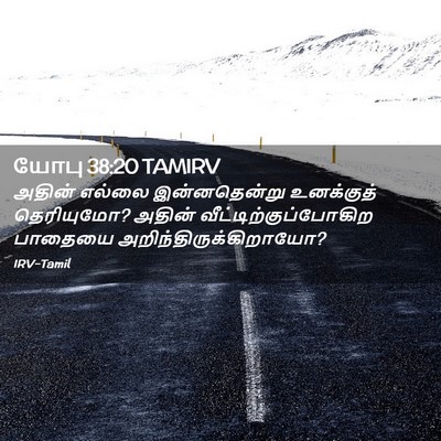 Picture 02 - யோபு 38:20 TAMIRV - அதின் எல்லை - Bible Verse Picture
