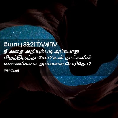 Picture 02 - யோபு 38:21 TAMIRV - நீ அதை அறியும்படி - Bible Verse Picture