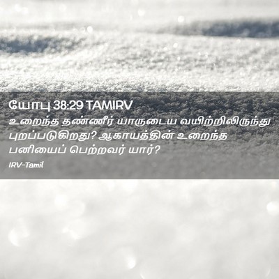 Picture 02 - யோபு 38:29 TAMIRV - உறைந்த தண்ணீர் - Bible Verse Picture