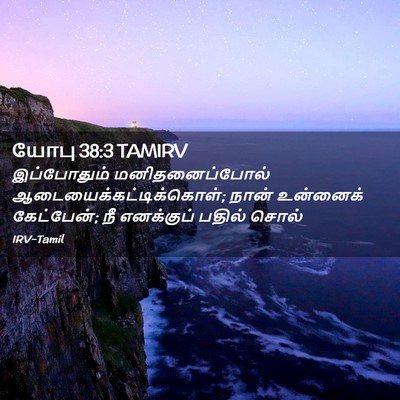Picture 02 - யோபு 38:3 TAMIRV - இப்போதும் - Bible Verse Picture