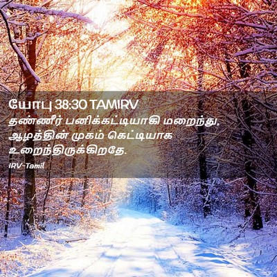Picture 02 - யோபு 38:30 TAMIRV - தண்ணீர் - Bible Verse Picture