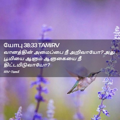 Picture 02 - யோபு 38:33 TAMIRV - வானத்தின் அமைப்பை - Bible Verse Picture