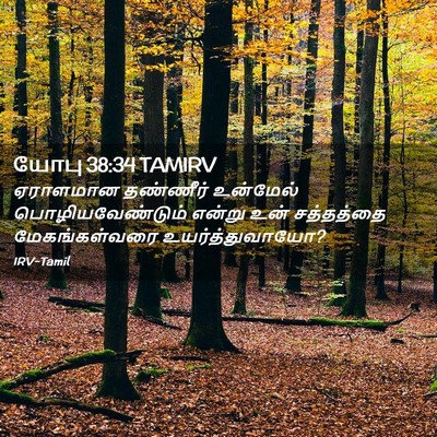 Picture 02 - யோபு 38:34 TAMIRV - ஏராளமான தண்ணீர் - Bible Verse Picture