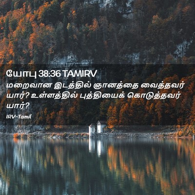 Picture 02 - யோபு 38:36 TAMIRV - மறைவான இடத்தில் - Bible Verse Picture