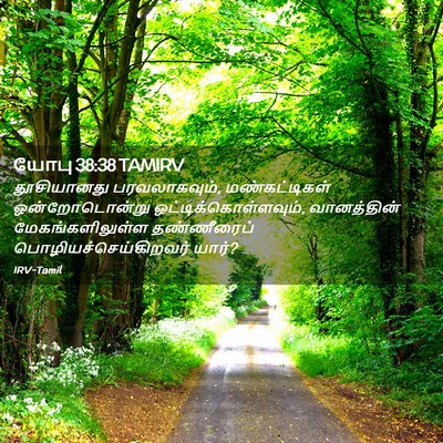 Picture 02 - யோபு 38:38 TAMIRV - தூசியானது - Bible Verse Picture